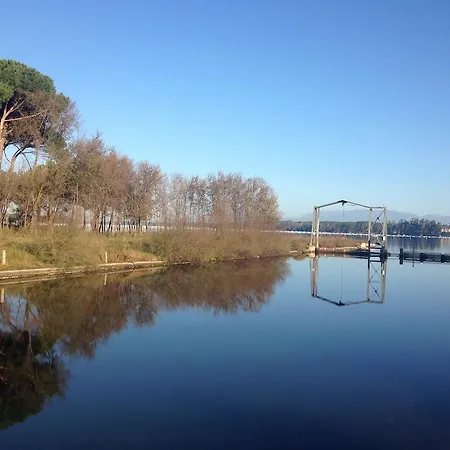 Proprieta Scalfati